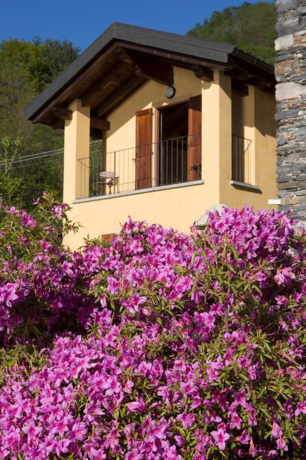 Violina Casa Vacanze Pettenasco Ngoại thất bức ảnh